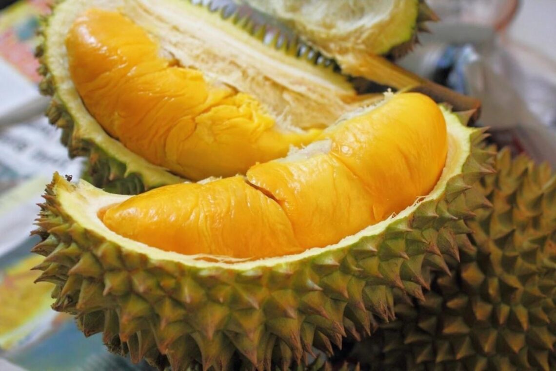 Perawatan Durian Montong Agar Buahnya Lebih Wangi