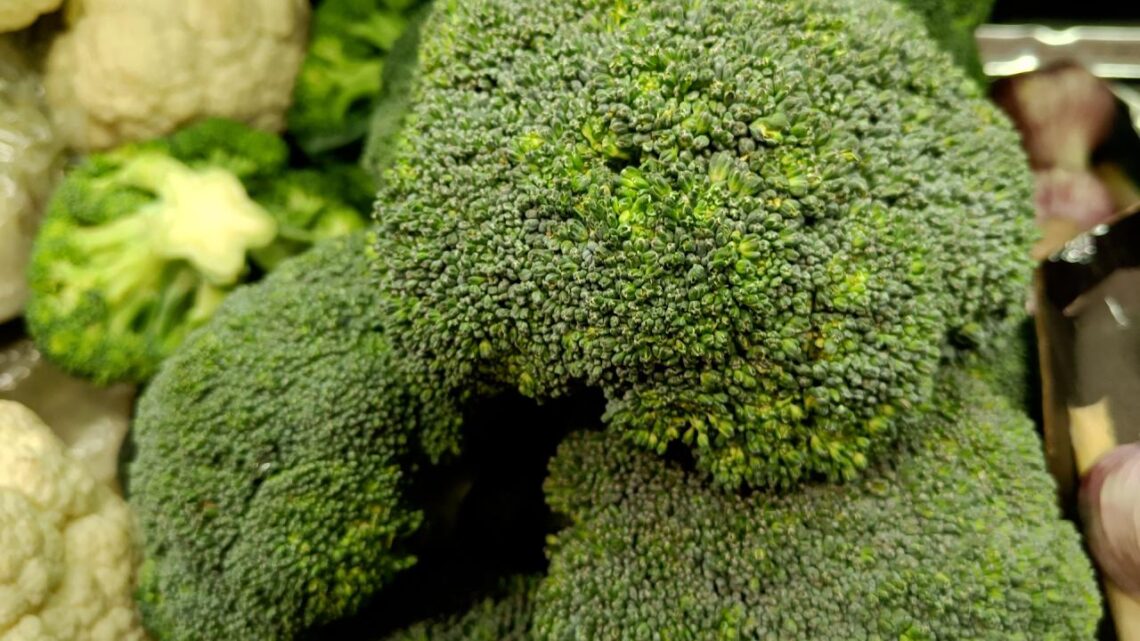 Tips Merawat Brokoli Agar Tidak Cepat Layu