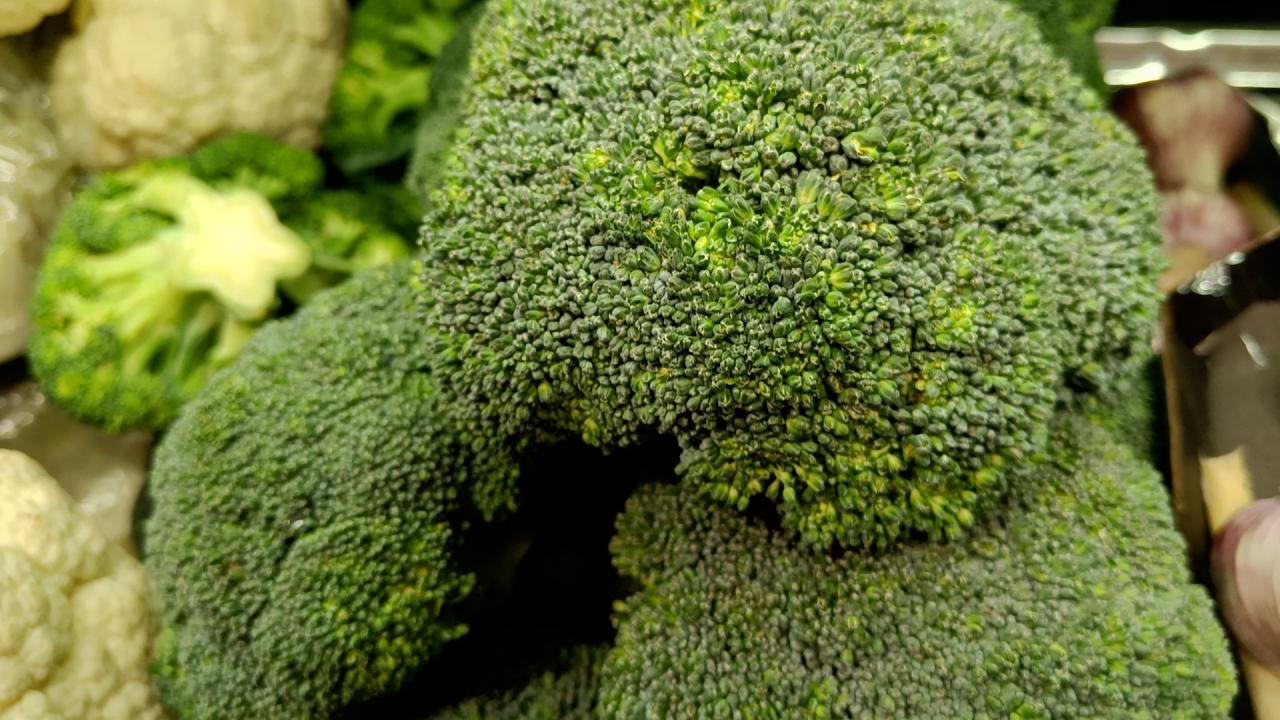 Tips Merawat Brokoli agar Tidak Cepat Layu