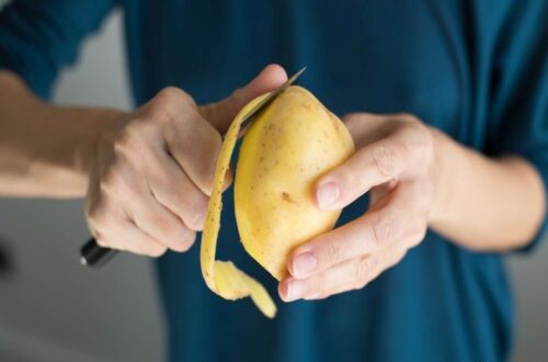 Cara Merawat Buah Plum Agar Tidak Cepat Busuk