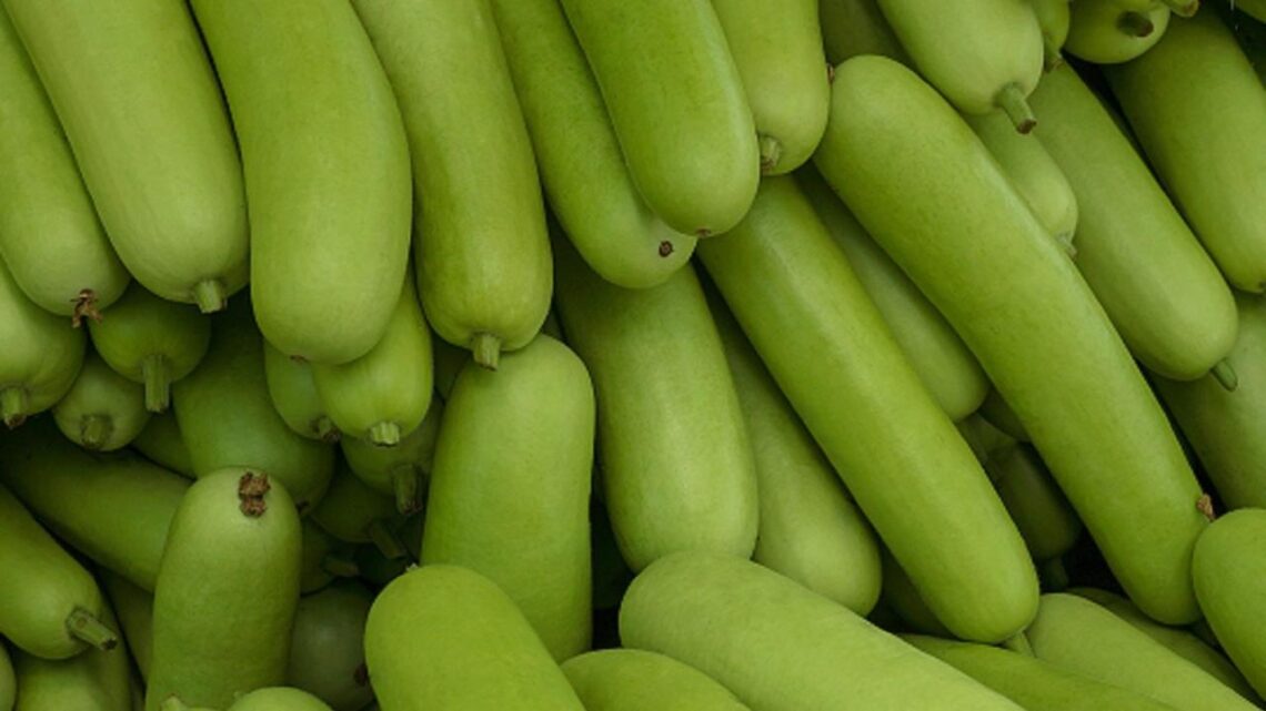 Tips Menyimpan Labu Siam Agar Tetap Awet Di Kulkas