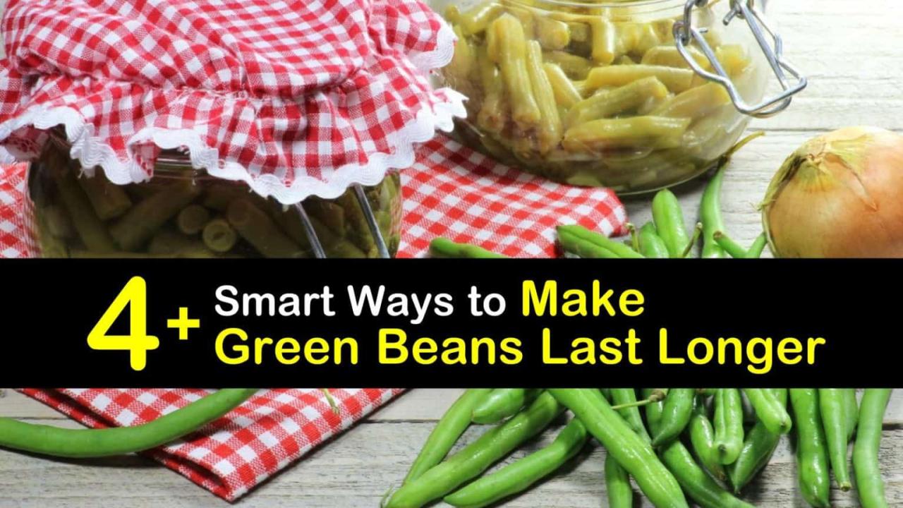 How to Freeze Your Green Bean Harvest Perawatan Buncis Supaya Tahan Lama Setelah Panen