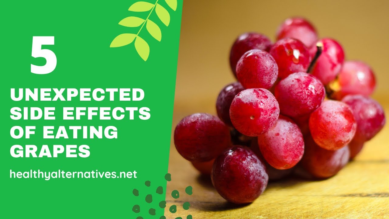 Growing Grapes: Varieties, Planting Guide, Care, Diseases, and Harvest Cara Merawat Anggur Agar Tidak Cepat Busuk