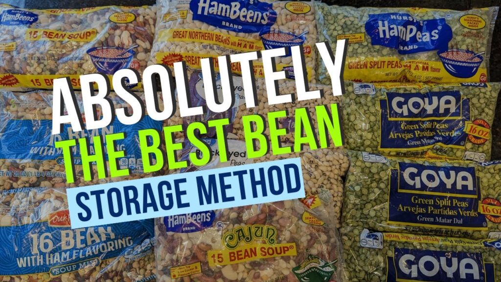Tips Menyimpan Kacang Panjang Agar Tidak Cepat Busuk Tips Menyimpan Kacang Panjang Agar Tidak Cepat Busuk