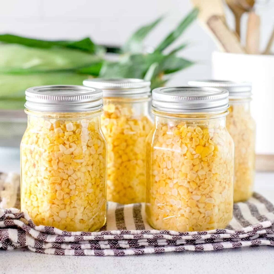 Cara Merawat Jagung Manis Agar Rasanya Lebih Lezat