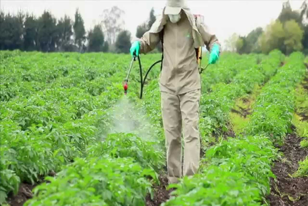 Natural pesticides for pest control in agricultural crops: an ...