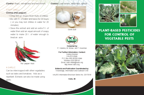 Integrasi Pestisida Nabati Dalam Perlindungan Tanaman Sayuran Organik