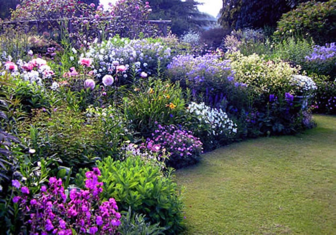 35+ Super Beautiful Flower Garden Ideas You Have To Build One in You ... Tanaman Hias Bunga Paling Cantik untuk Mempercantik Taman Rumah