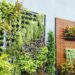 Tren Vertical Garden Dengan Tanaman Hias Modern