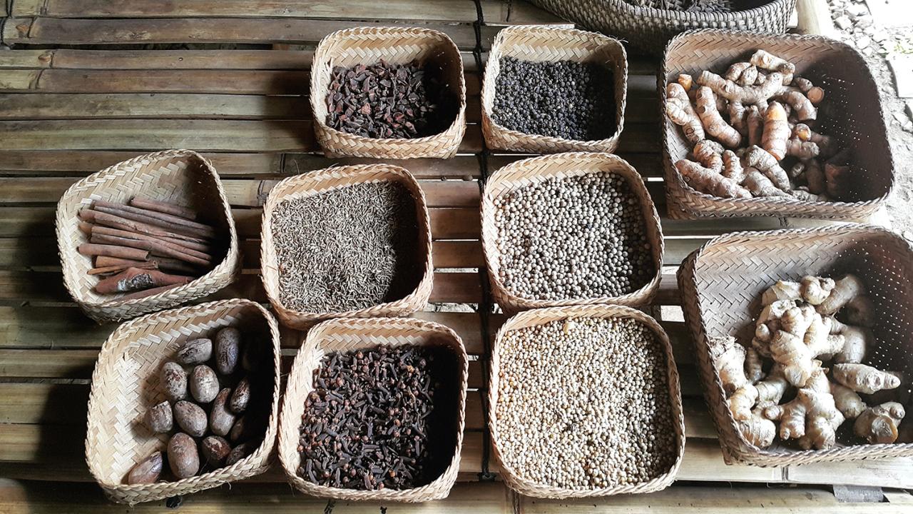 Rempah Nusantara yang Menjadi Buruan Dunia Sejak Zaman Kolonial