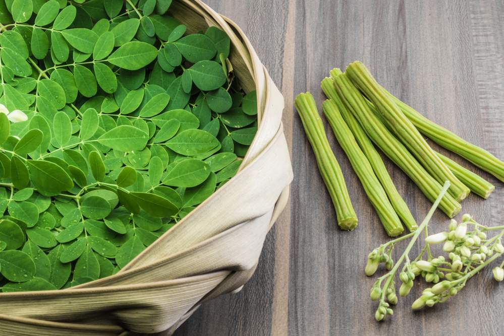Miracle Herb: 10 Powerful Health Benefits of Moringa Leaves and Seeds Rahasia Manfaat Daun Kelor: Si Kecil dengan Segudang Khasiat