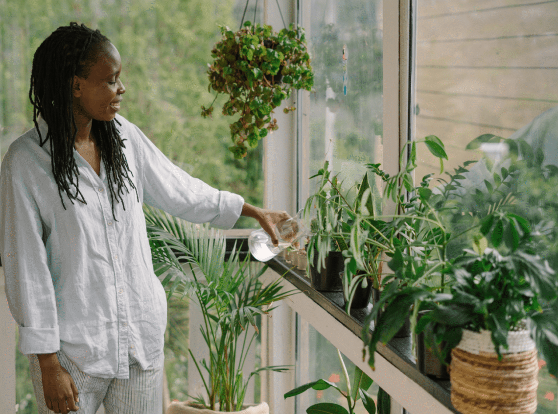 Tips Memilih Tanaman Hias Yang Cocok Untuk Ruangan Indoor