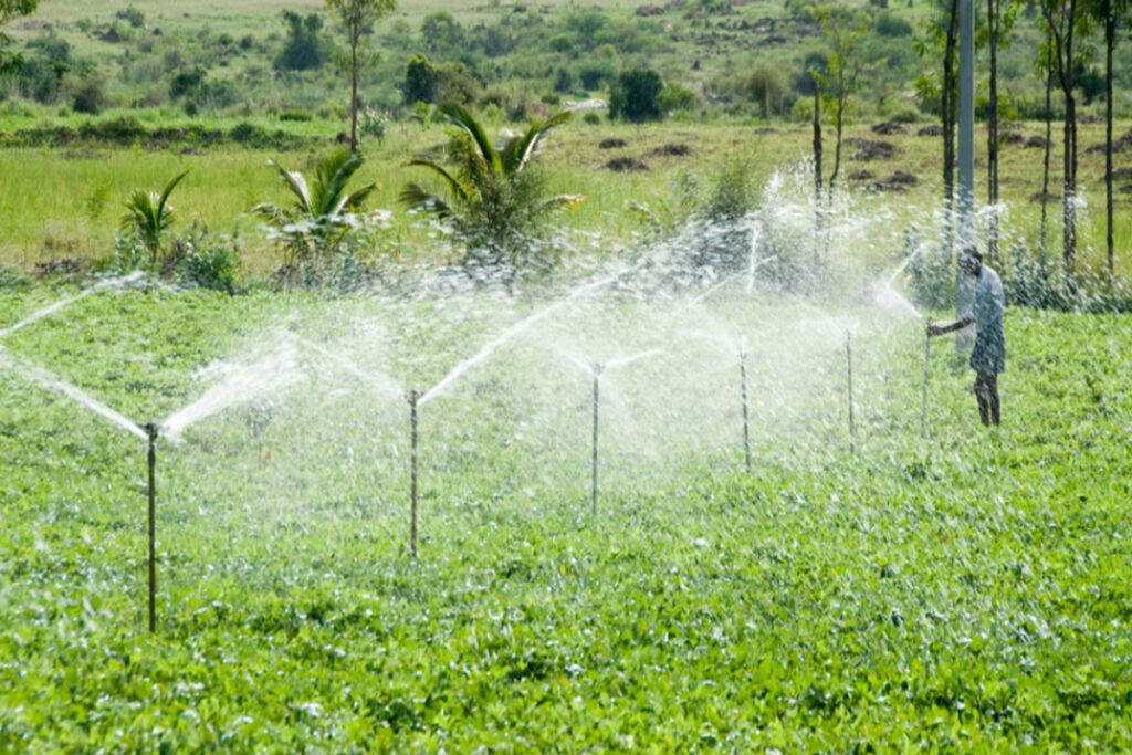 Bertani Hemat Air Dengan Sistem Drip Irrigation