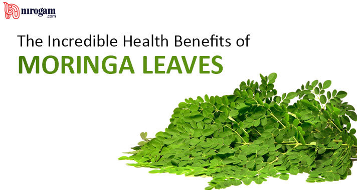 Rahasia Manfaat Daun Kelor Si Kecil Dengan Segudang Khasiat