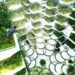 Vertical Farming Solusi Bertani Di Tengah Kota