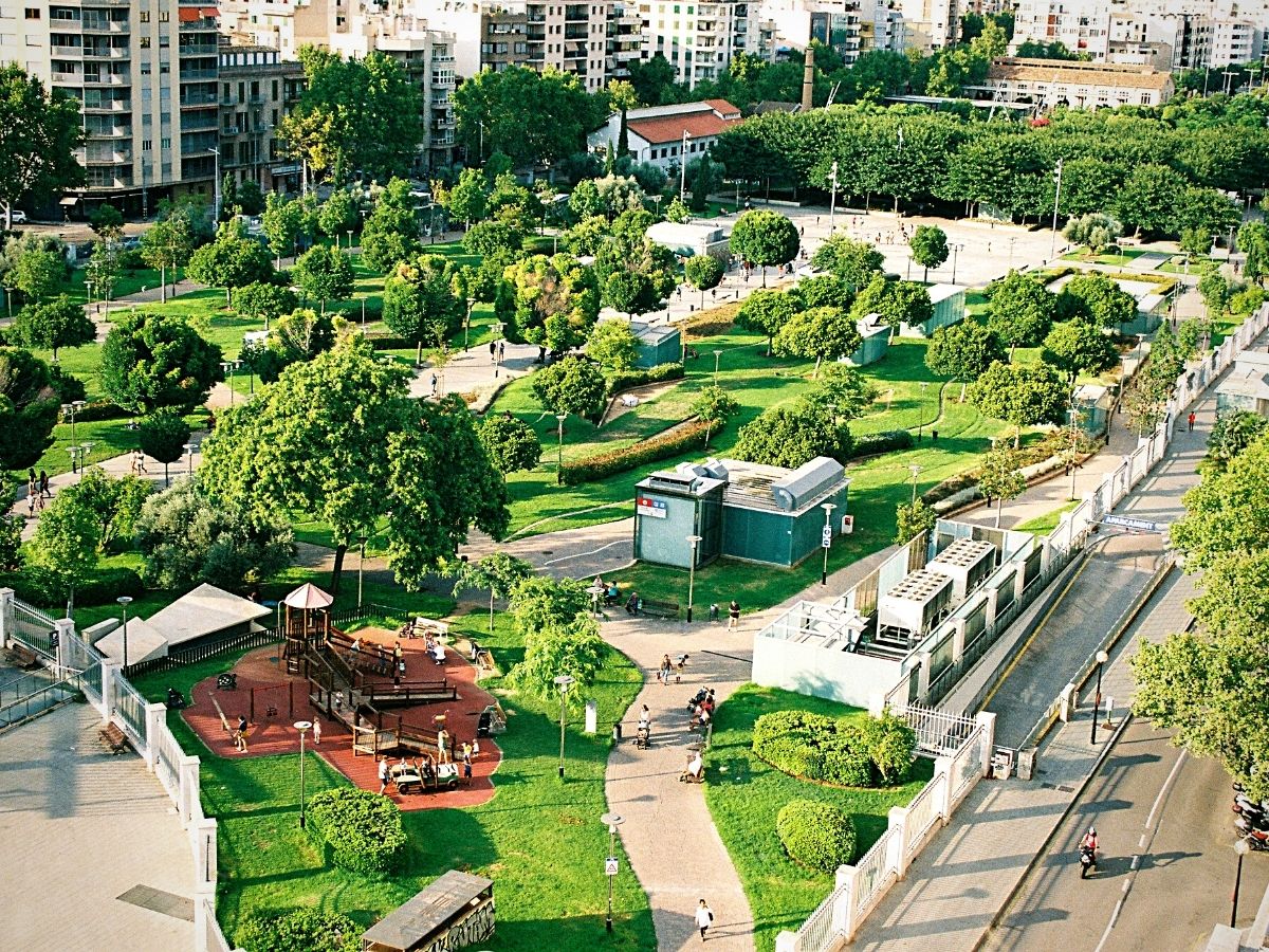 Alasan Tanaman Hias Menjadi Lifestyle Baru di Perkotaan