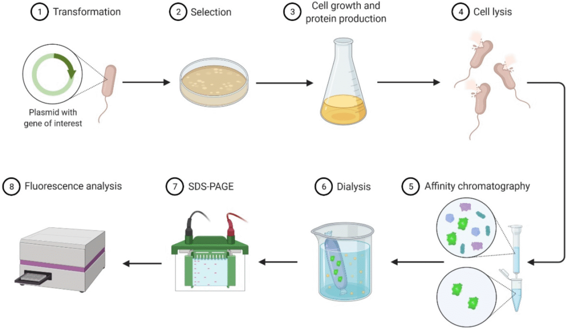 Microbial Farming Memanfaatkan Mikroorganisme Untuk Panen Maksimal