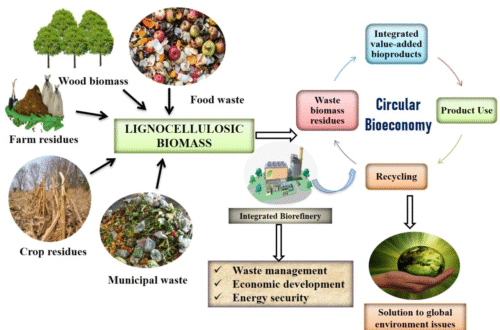 Pertanian Tanpa Limbah Mengubah Sisa Panen Jadi Energi Baru