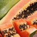 Rahasia Sehat Dari Buah Pepaya Dari Kulit Sampai Bijinya