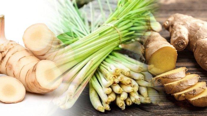Lengkuas Rempah Dapur Dengan Khasiat Herbal Menakjubkan