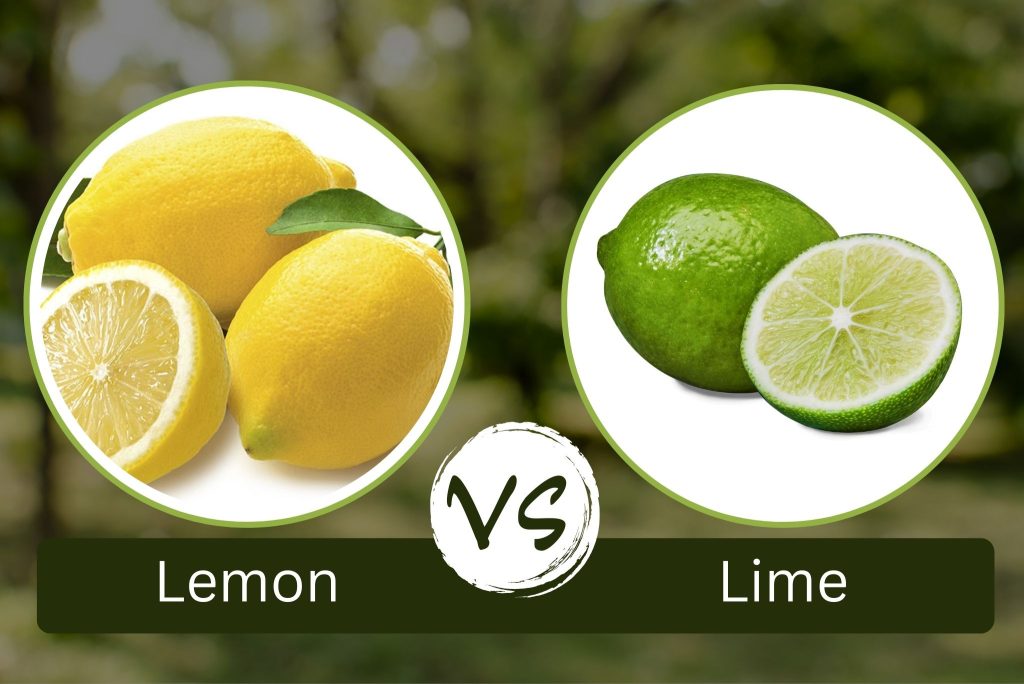 Lemon vs Jeruk Nipis: Mana yang Lebih Sehat?