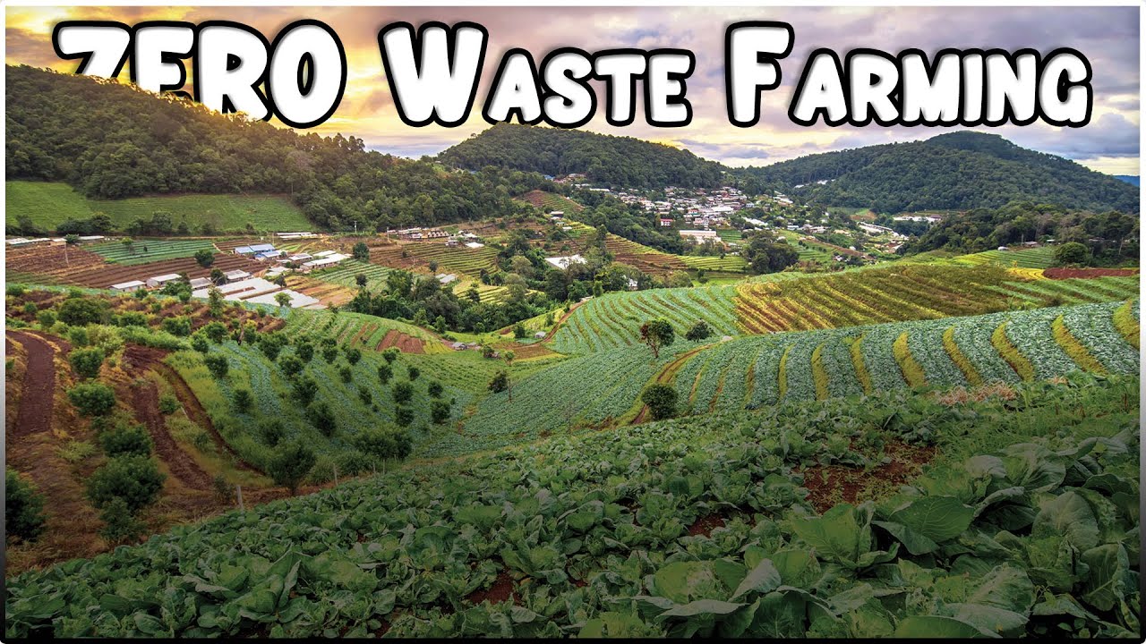 Zero Waste Farming: Kunci Pertanian Ramah Lingkungan