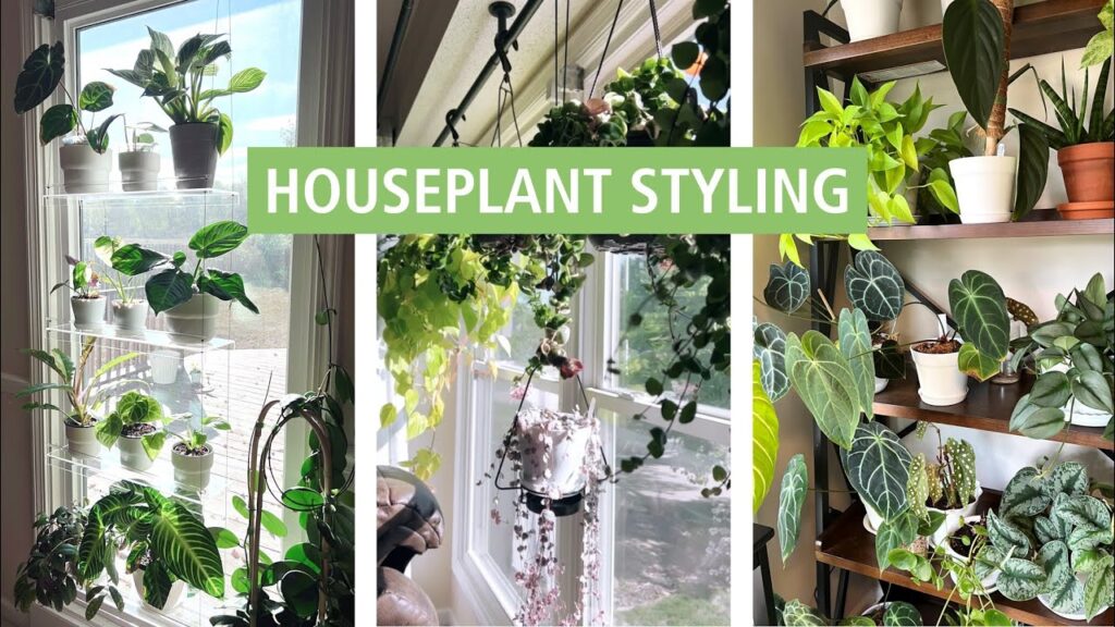Cara Menata Tanaman Hias Agar Rumah Terlihat Instagramable