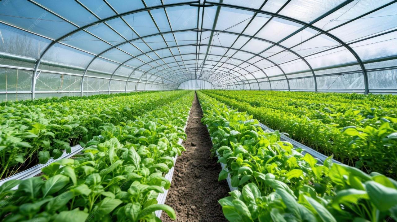 Smart Greenhouse: Rumah Kaca Pintar dengan Kontrol Iklim Otomatis