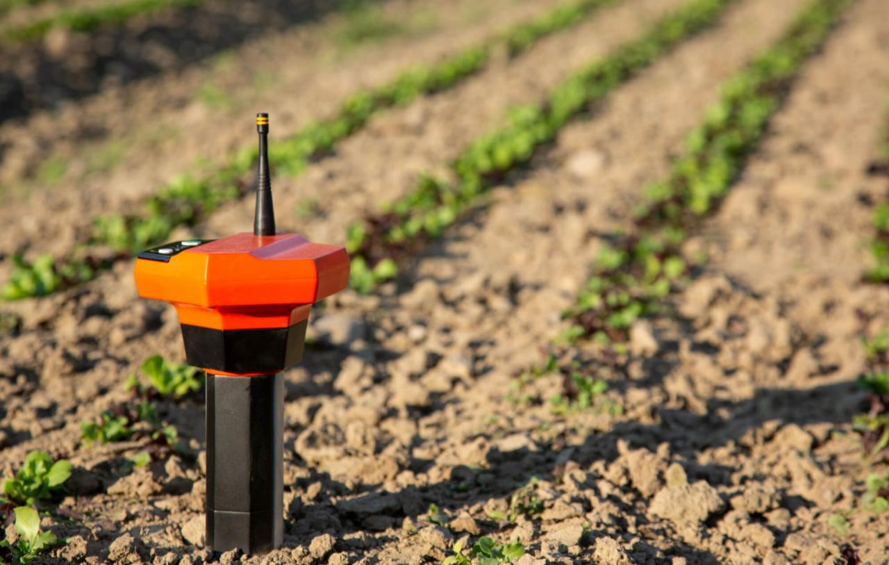 Farmers Are Now Using A Host Of Sensors To Grow Perfect Crops Sensor Pintar untuk Tanaman: Bertani dengan Data, Bukan Tebakan