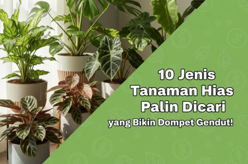 10 Jenis Tanaman Hias Paling Dicari yang Bikin Dompet Gendut! 10 Jenis Tanaman Hias Paling Dicari yang Bikin Dompet Gendut!