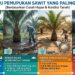 Waktu Pemupukan Sawit yang Paling Tepat